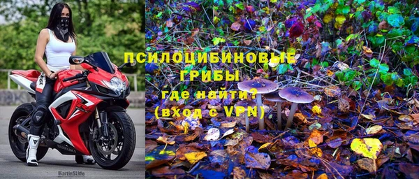 apvp Сафоново