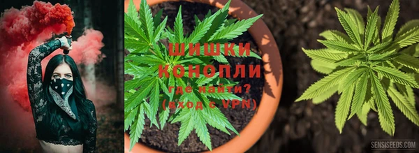 трава Верхний Тагил