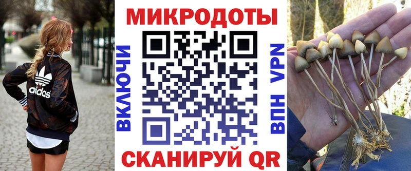блэк спрут рабочий сайт  Артём  Псилоцибиновые грибы Cubensis  цена  